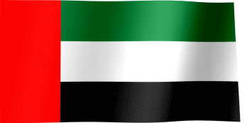 UAE flag